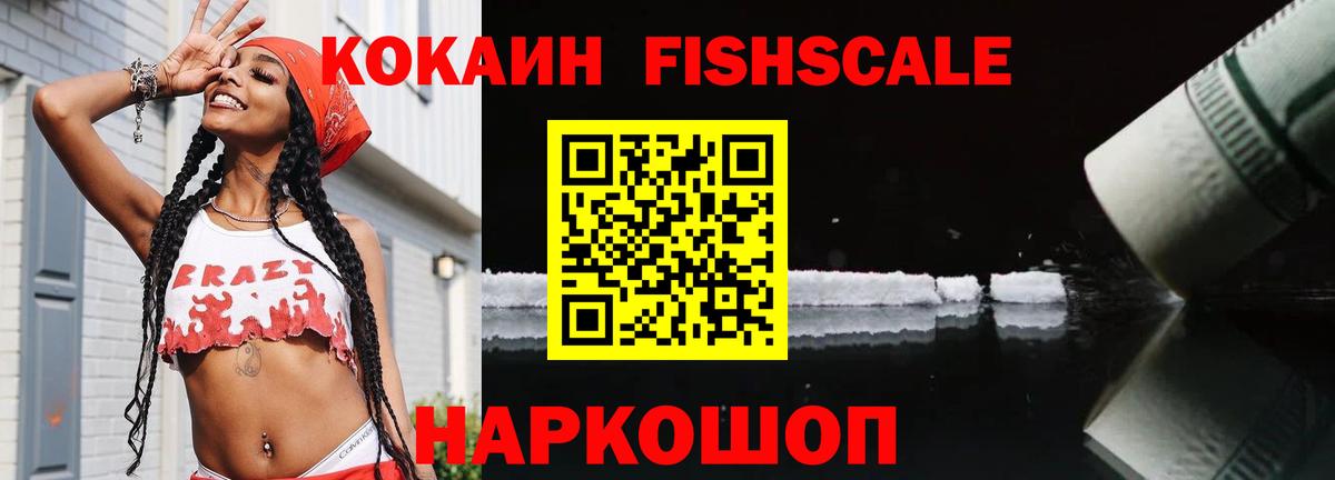 COCAIN  COCAIN Fish Scale  Вход с VPN  Королёв 